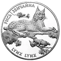 Рись звичайна — аверс