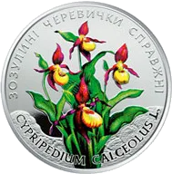 Зозулині черевички справжні — реверс