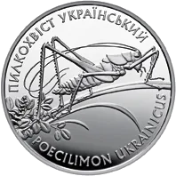 Пилкохвіст український — аверс