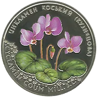 Цикламен коський (Кузнецова) — реверс