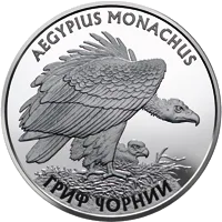 Гриф чорний — аверс
