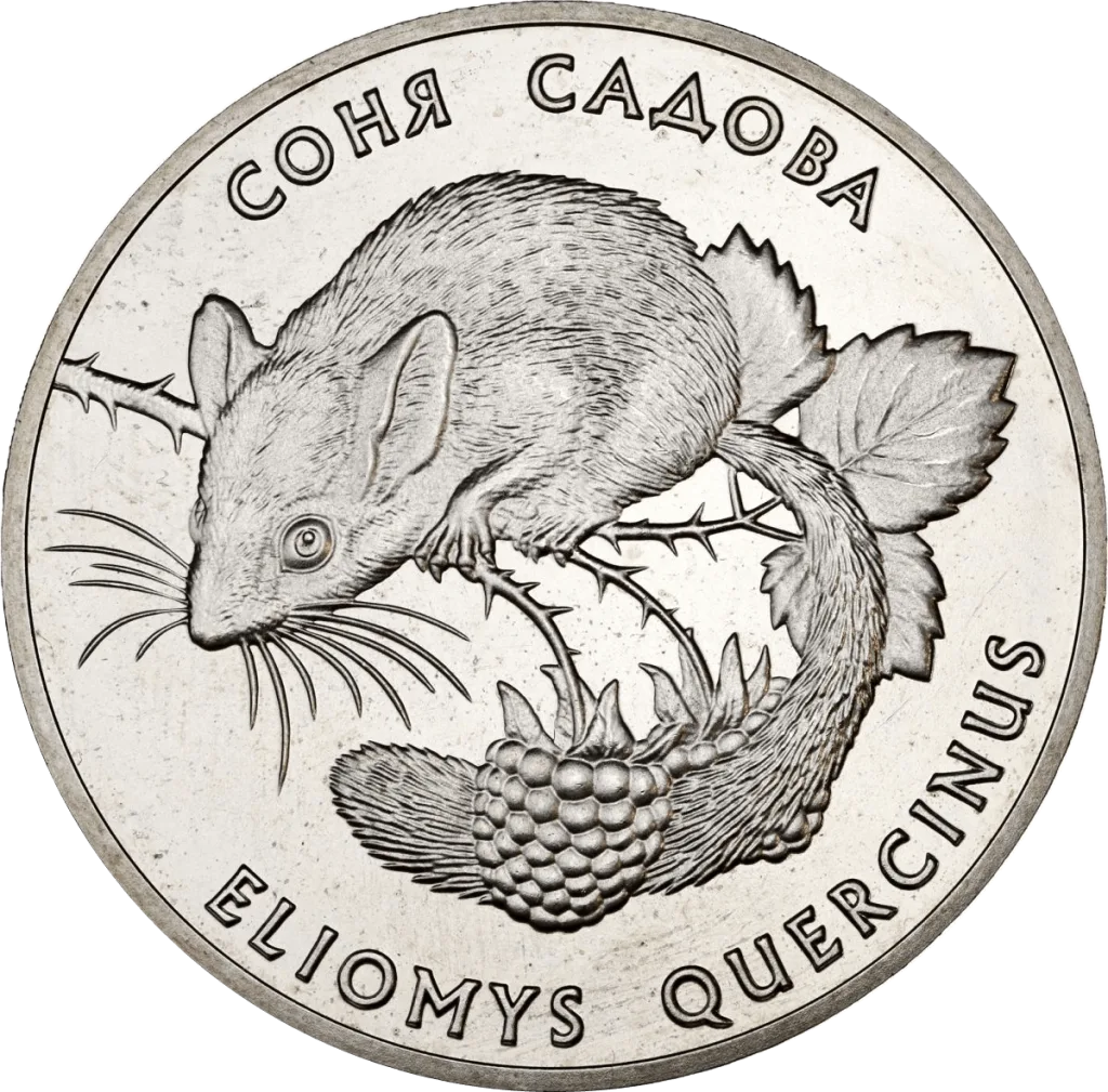 Соня садова