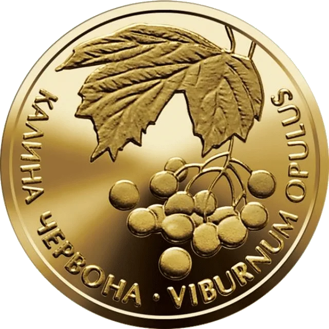 Калина червона