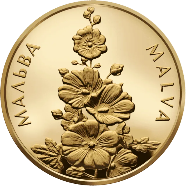 Мальва