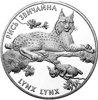 Рись звичайна — реверс