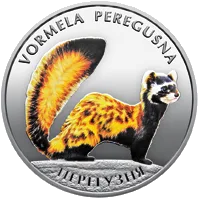 Перегузня