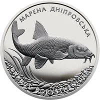 Марена дніпровська