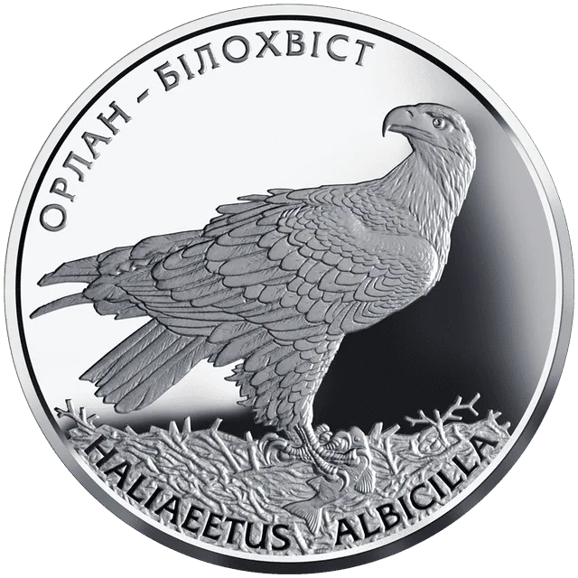 Орлан-білохвіст