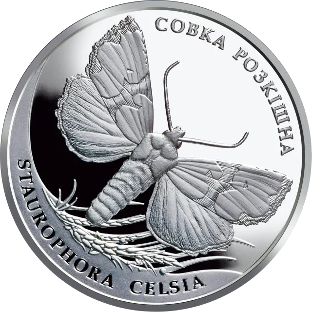 Совка розкішна