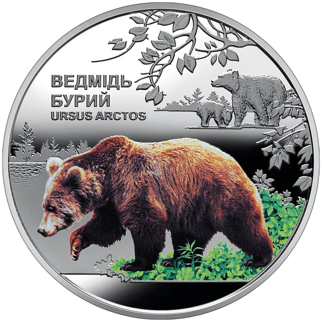 Чорнобиль. Відродження. Ведмідь бурий — реверс