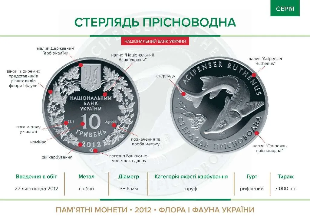 Стерлядь прісноводна — інфо
