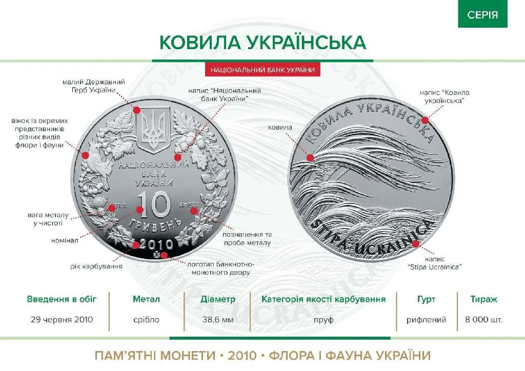 Ковила українська — інфо