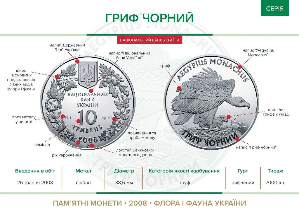 Гриф чорний — інфо