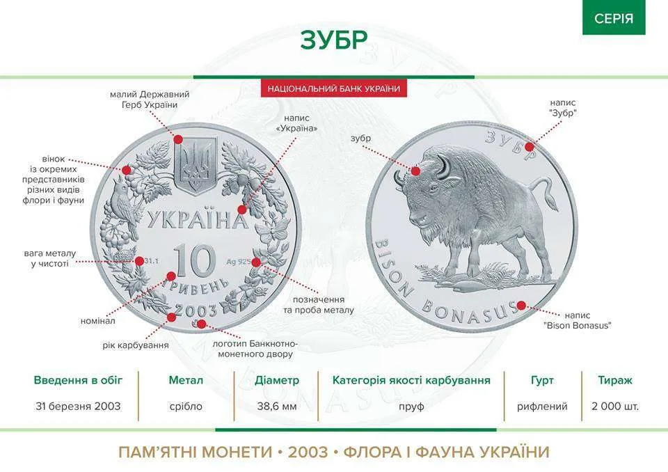 Зубр — інфо