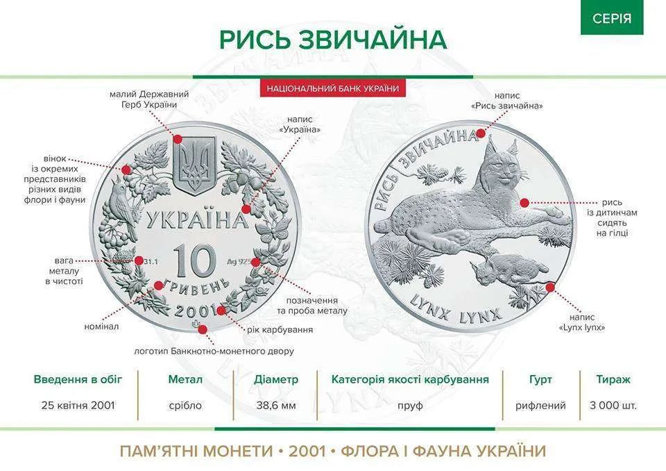 Рись звичайна — інфо