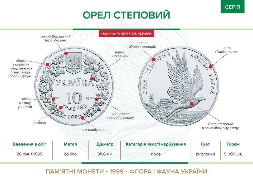 Орел степовий — інфо