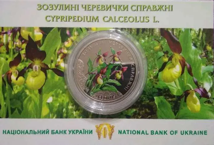 Зозулині черевички справжні — інфо 1