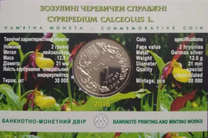 Зозулині черевички справжні — інфо 2