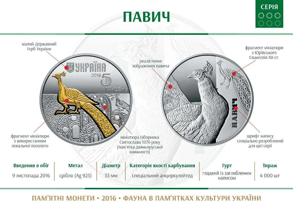 Павич — інфо