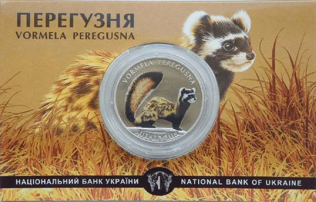 Перегузня — інфо 2