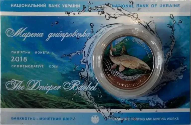Марена дніпровська — інфо 2