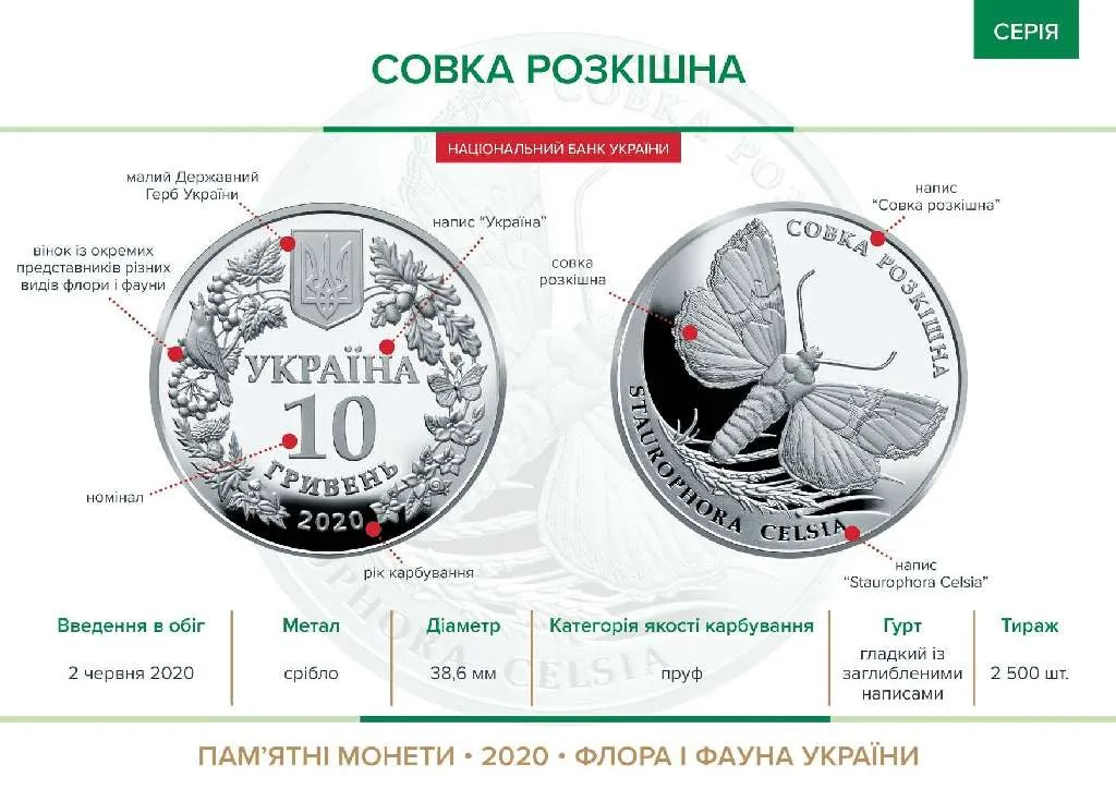 Совка розкішна — інфо