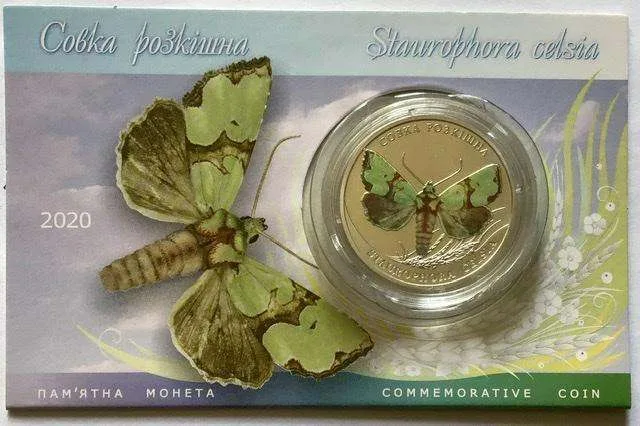 Совка розкішна — інфо 2