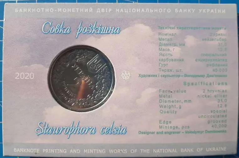 Совка розкішна — інфо 3