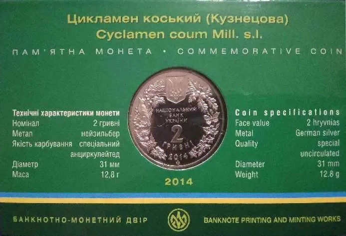 Цикламен коський (Кузнецова) — інфо 2