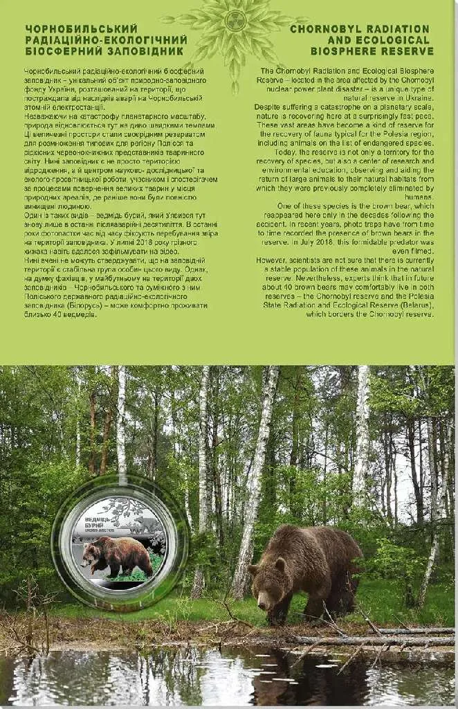 Чорнобиль. Відродження. Ведмідь бурий — інфо 3