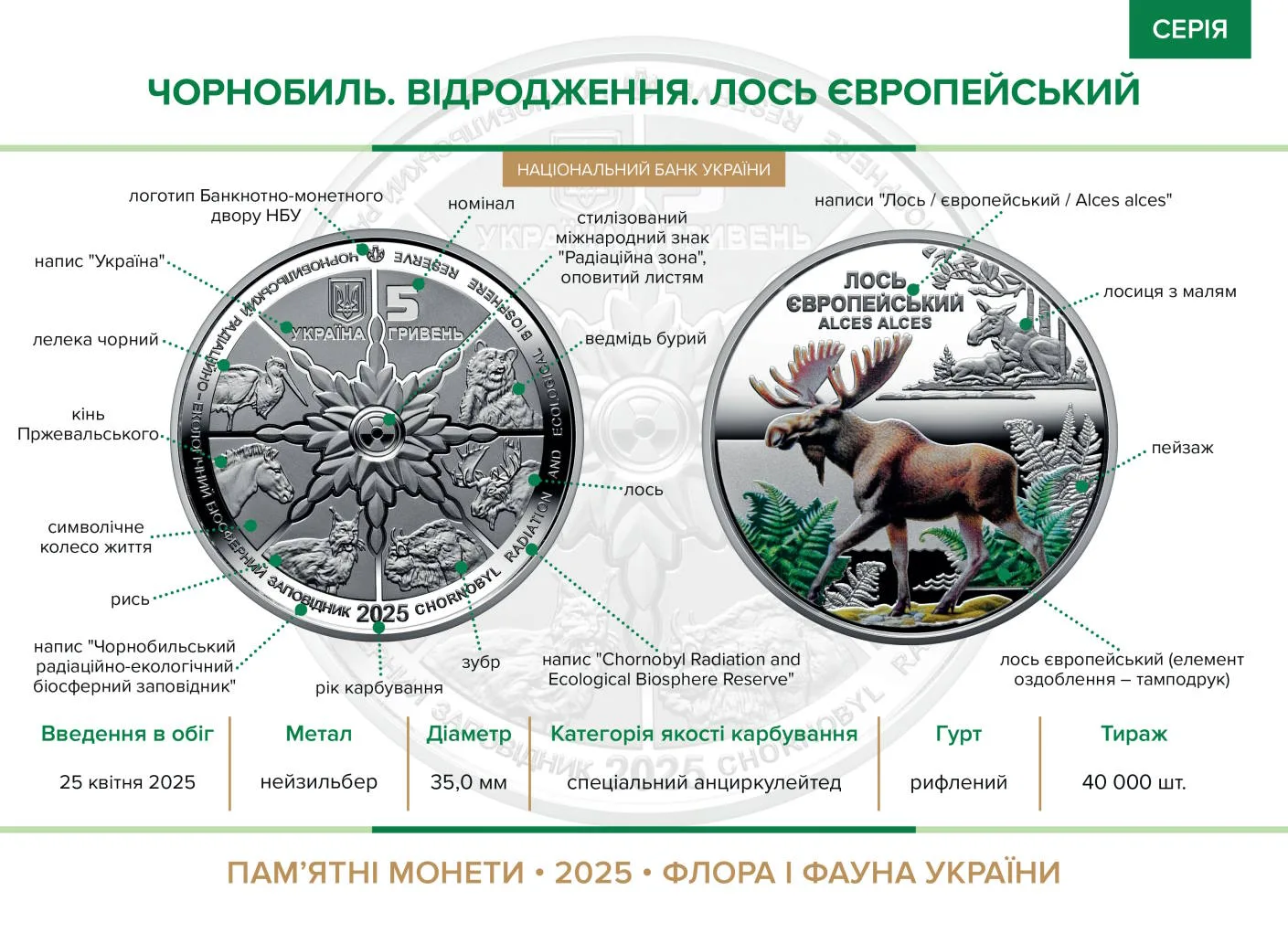Чорнобиль. Відродження. Лось європейський — інфо 1