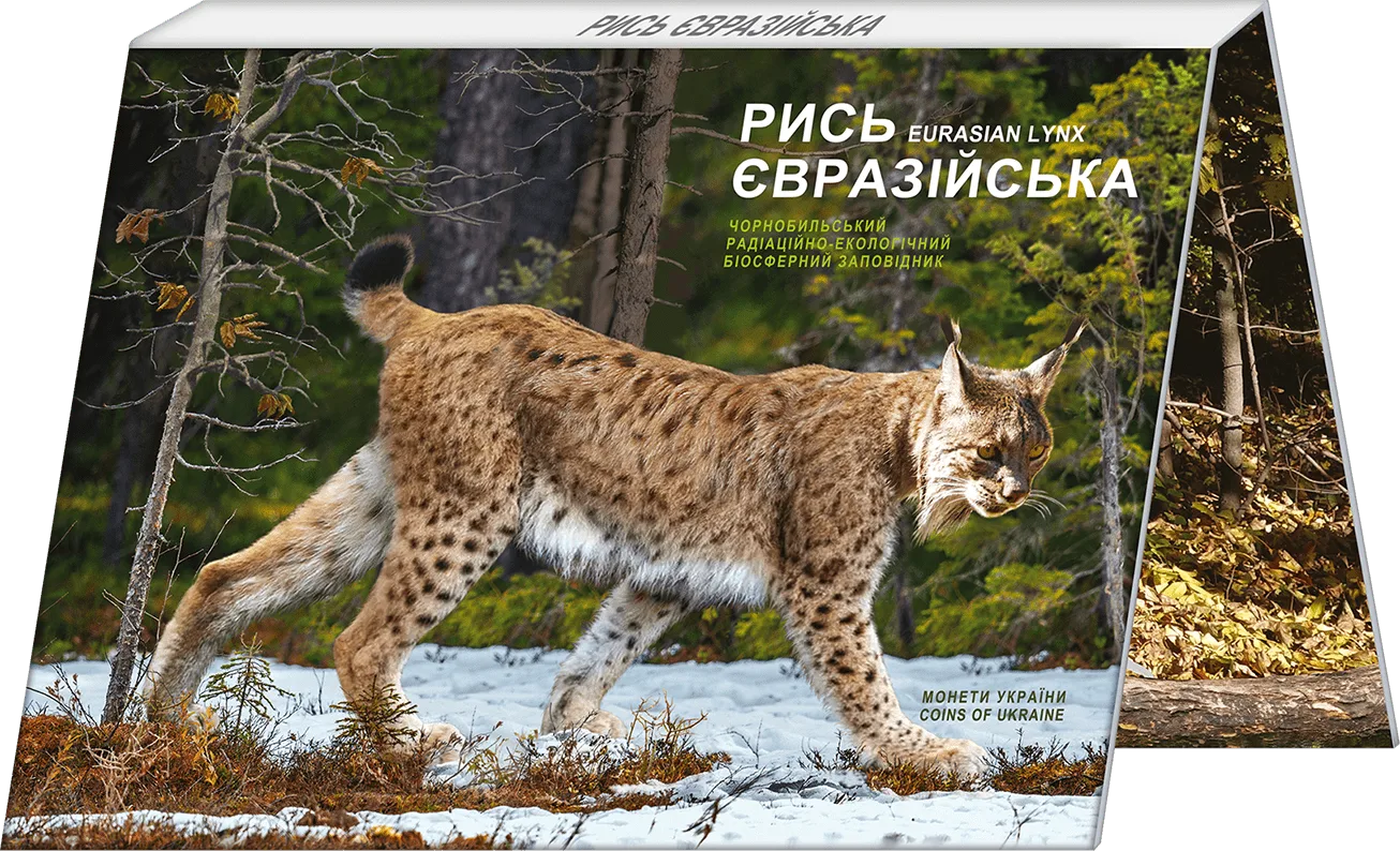 Чорнобиль. Відродження.Рись — інфо 2