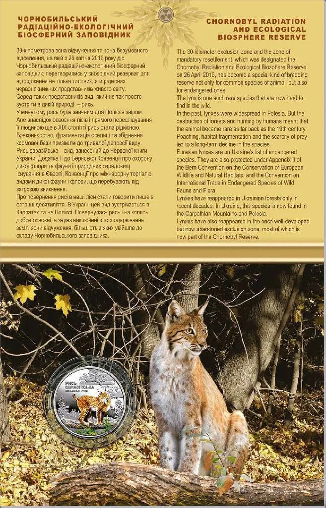 Чорнобиль. Відродження.Рись — інфо 3