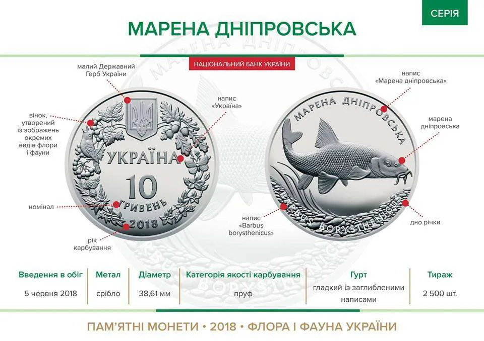 Марена дніпровська — інфо