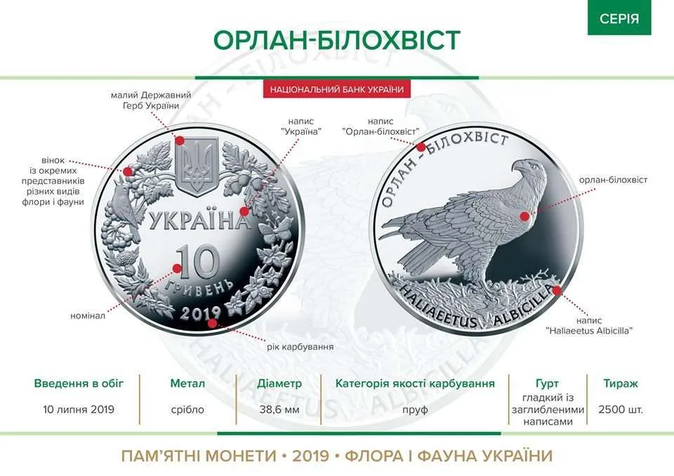 Орлан-білохвіст — інфо