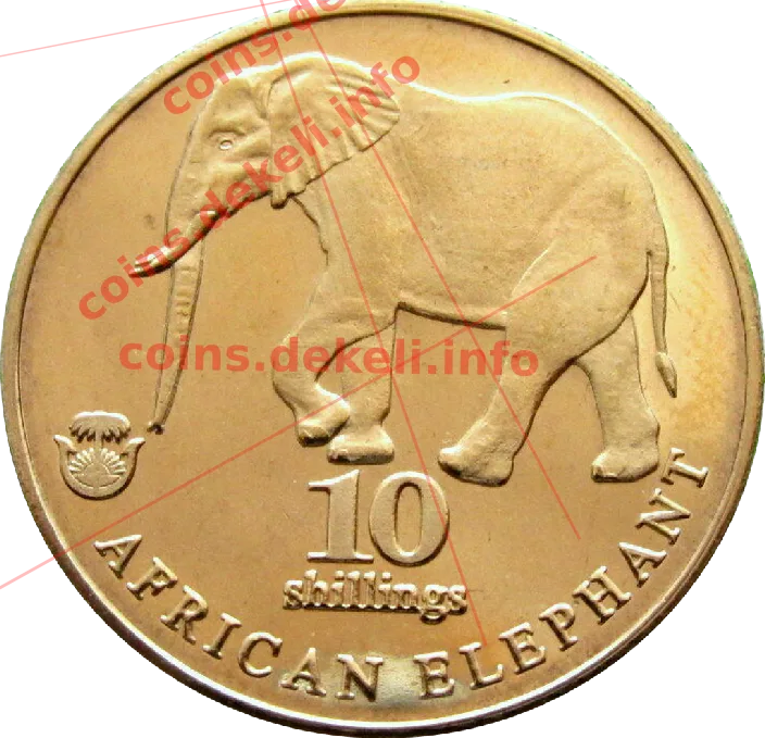African elephant — реверс