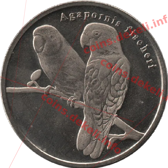 Agapornis fischeri — реверс