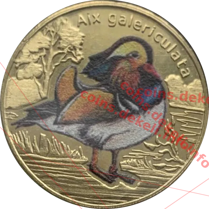 Aix galericulata — реверс