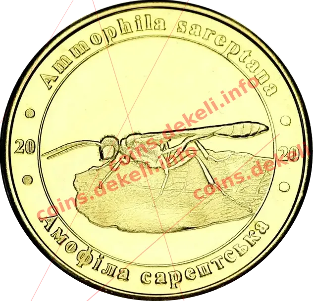 Амофіла сарептська — аверс