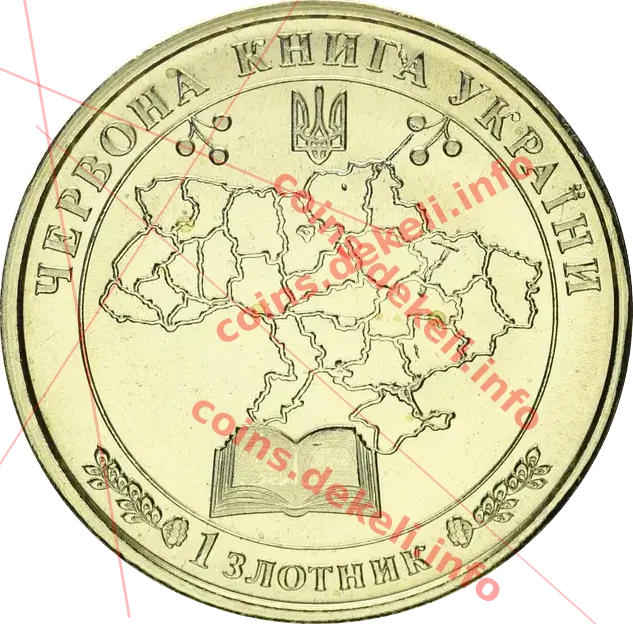 Амофіла сарептська — реверс