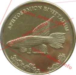 Aphyosemion bivittatum — реверс