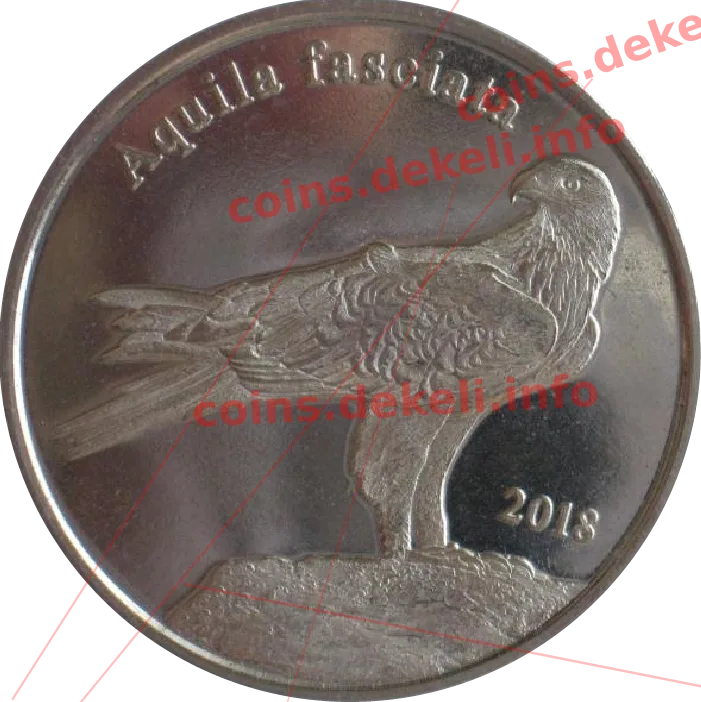 Aquila fasciata