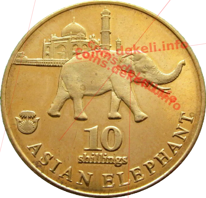 Asian elephant — реверс
