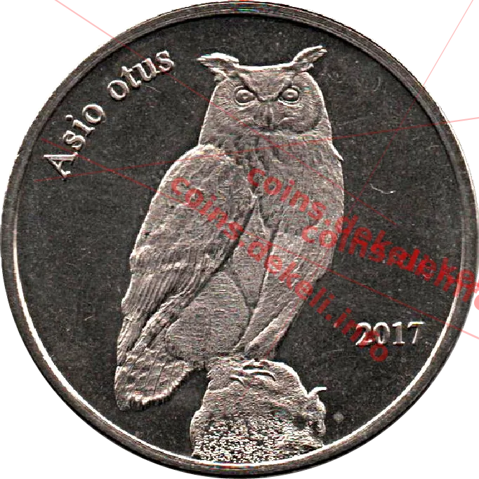 Asio otus