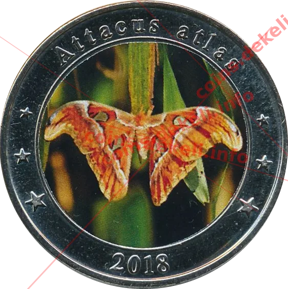 Attacus atlas