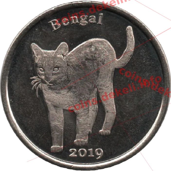 Bengal — реверс