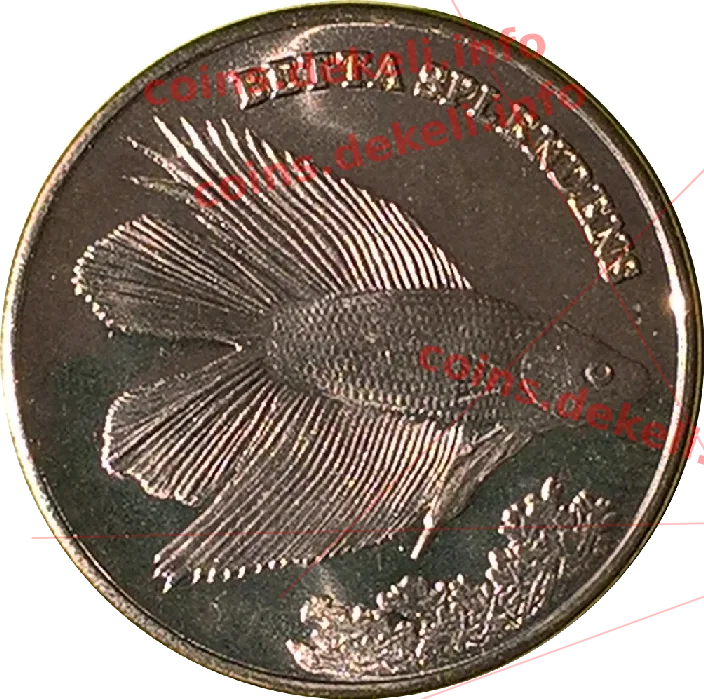 Beta splendens — реверс