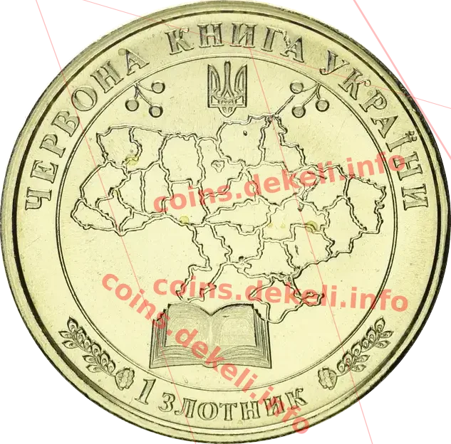 Ведмідь бурий — реверс