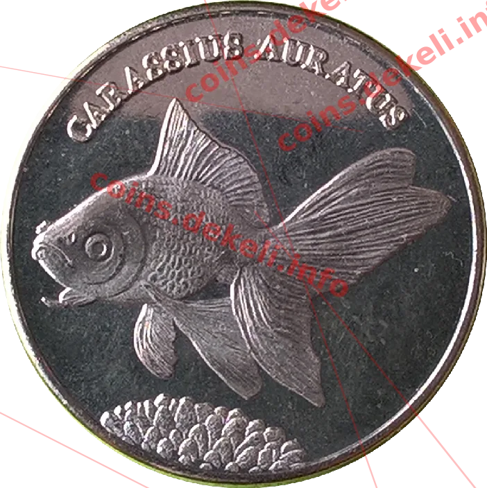 Carassius auratus — реверс