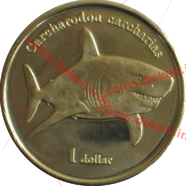 Carcharodon carcharias — реверс